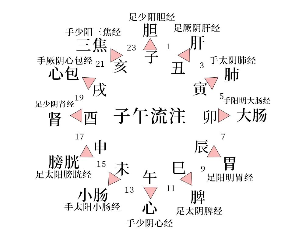 十二时辰养生法,对应十二条经络,养生当如此!