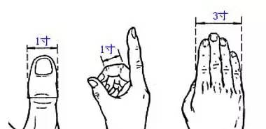 中指同身寸:是以患者的中指中节屈曲时内侧两端纹头之间作为一寸,可